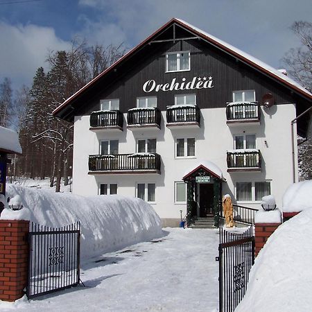 Bed and Breakfast Orchidea Szklarska Poręba Esterno foto