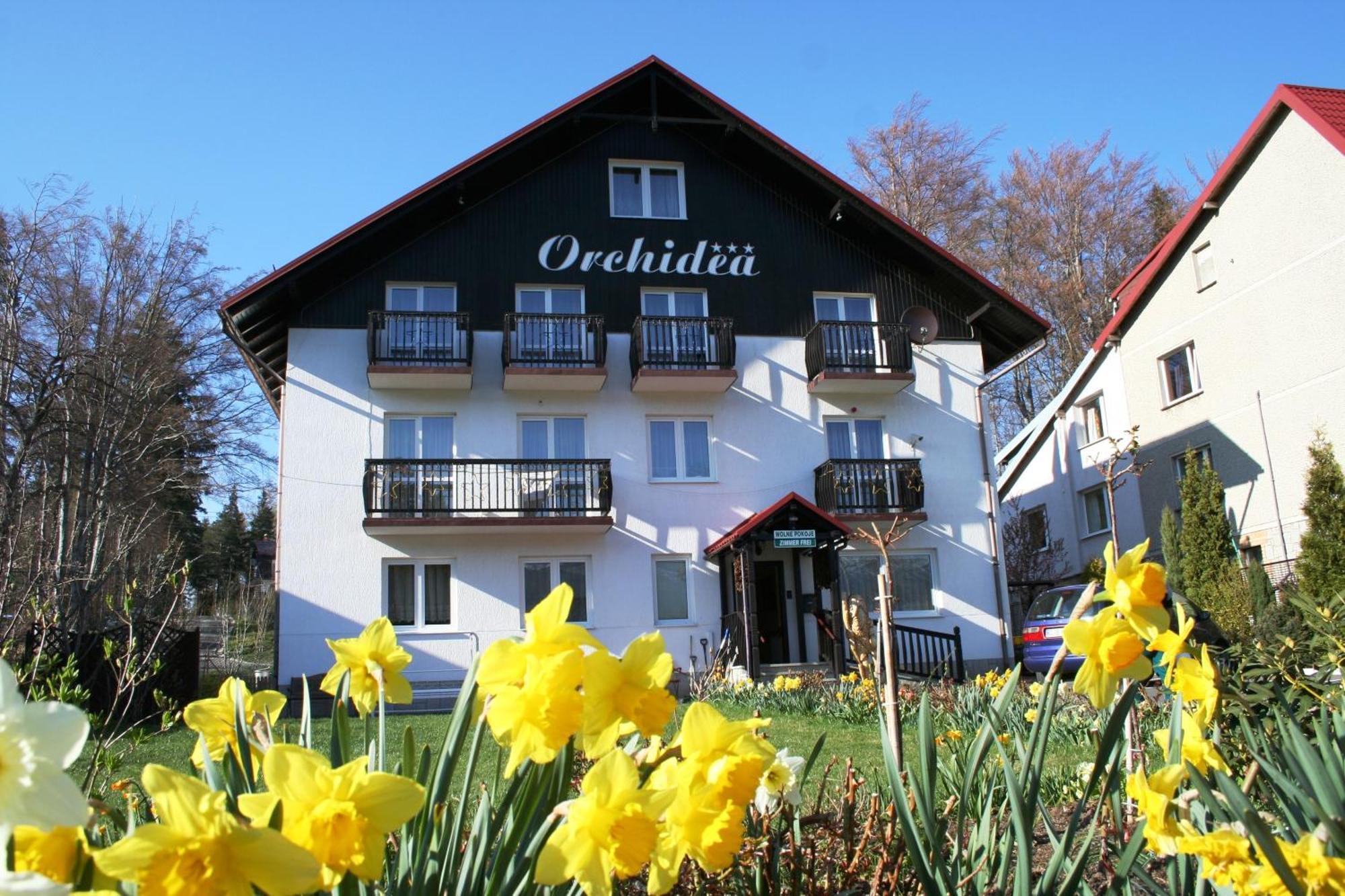 Bed and Breakfast Orchidea Szklarska Poręba Esterno foto
